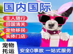晋江机场快运国际宠物托运 【国